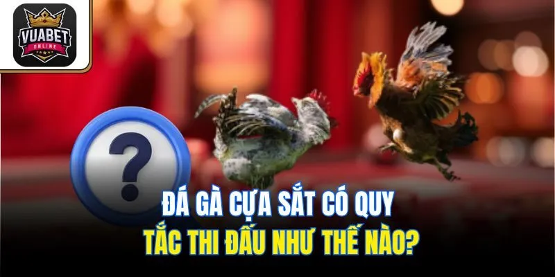 Đá gà cựa sắt có quy tắc thi đấu như thế nào?