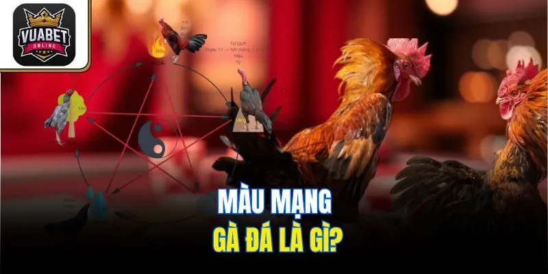 Màu mạng gà đá là gì?