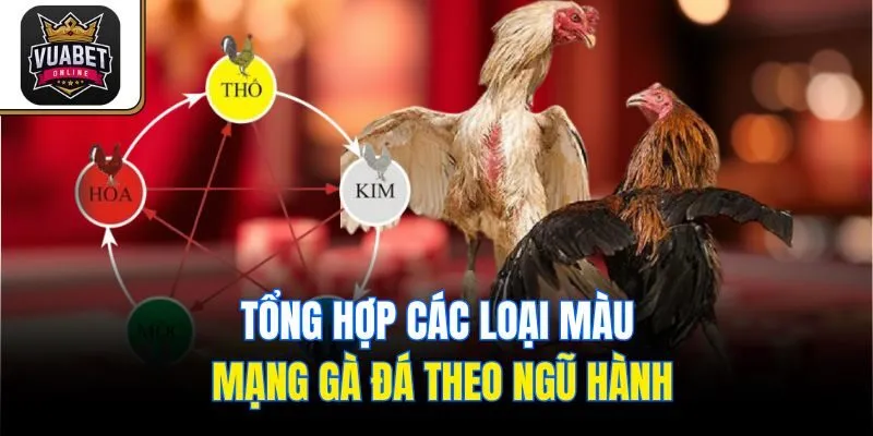 Tổng hợp các loại màu mạng gà đá theo ngũ hành